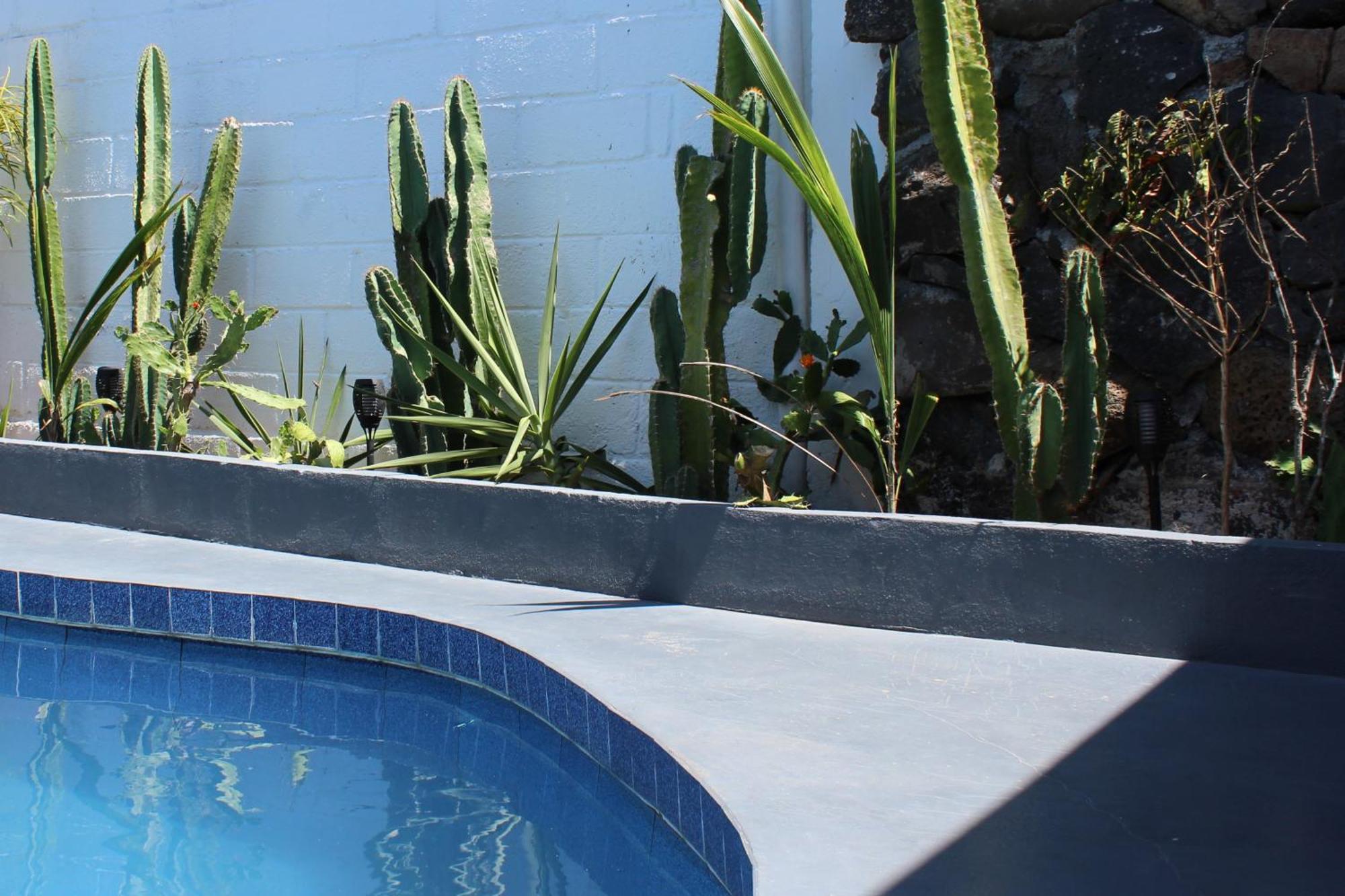Hostal Pimampiro Puerto Baquerizo Moreno Exteriör bild